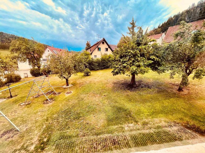 Garten hinter dem Haus mit Obstbäumen und Wiese