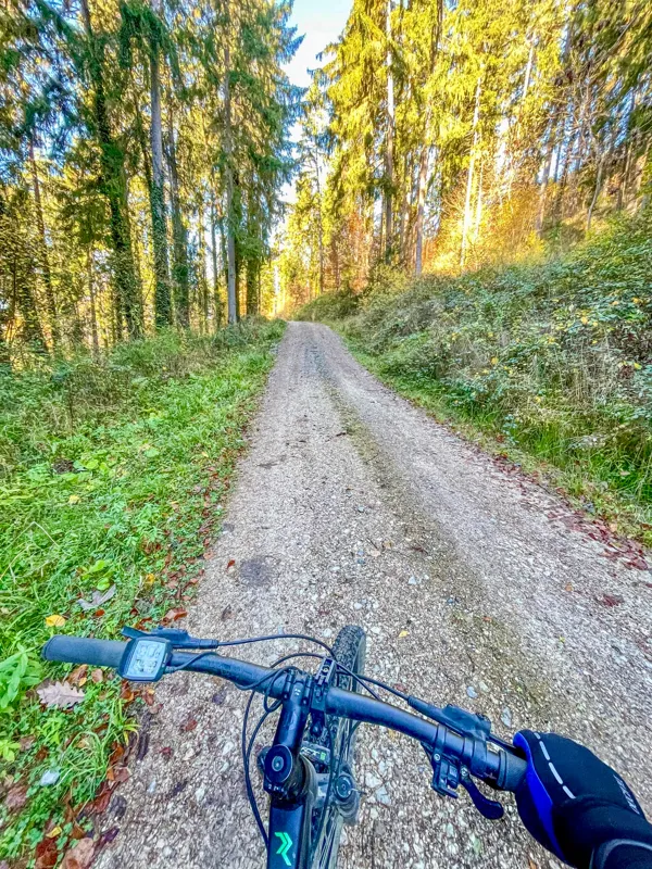 Schotterweg durch den Wald, im Vordergrund der Lenker eines Mountainbikes