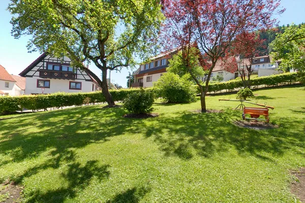 Große Wiese mit Obstbäumen und Hecke hinter dem Haus