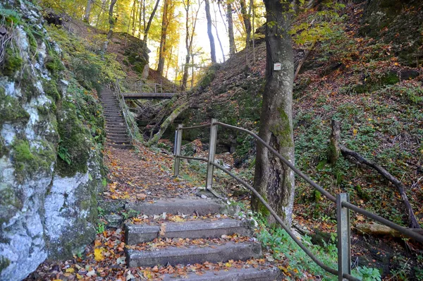 Holztreppe und Geländer auf dem Steig der Hossinger Leiter im Herbstwald